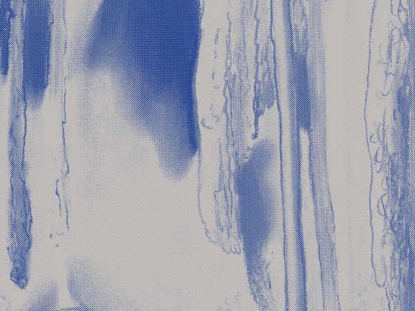 End of the world auction